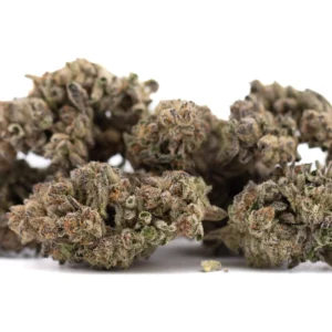 Hooch THCa Hemp Flower