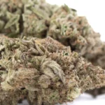 JOY THCa Hemp Flower