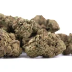 Lemon Cherry Gelato THCa Hemp Flower