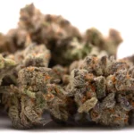 Money Ball Indoor THCa Flower