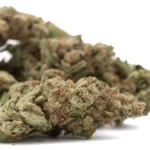 Moroccan Peach THCa Flower