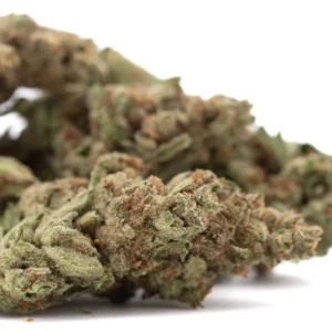 Moroccan Peach THCa Flower