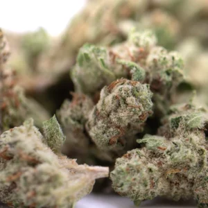 Nectarine Jelly THCa Hemp Flower