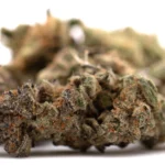 PEZ Indoor THCa Flower