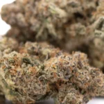 Peach Rainbow Indoor THCa Flower