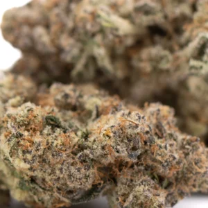 Peach Rainbow Indoor THCa Flower