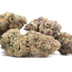 Tropical Punch Indoor THCA Hemp Flower