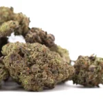 Zushi THCa Hemp Flower